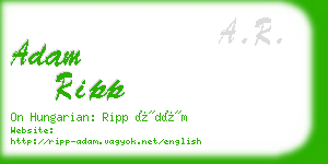 adam ripp business card